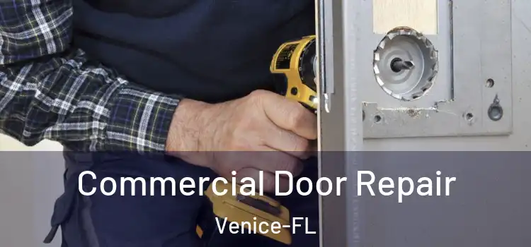Commercial Door Repair Venice-FL