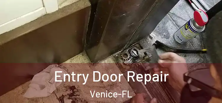  Entry Door Repair Venice-FL
